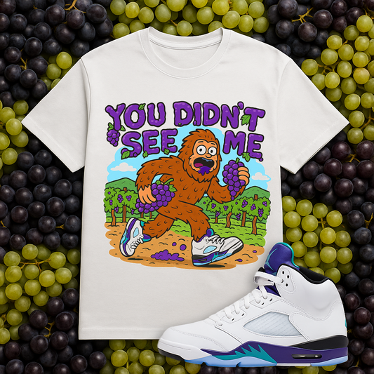 "You didn't see me (Grape 5s)T-Shirt